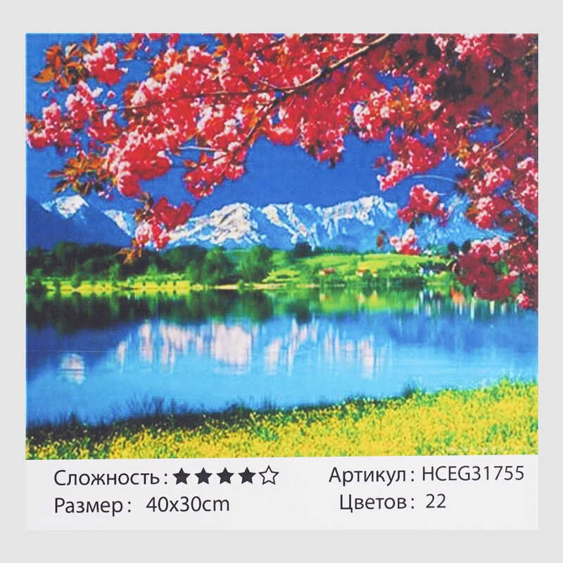 Картини по номерах 31755 (30)  40*30 см "TK Group"