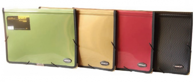 Папка на гумці А4 "Scholz" 5212 2відділення в асорт, шт, фото 1