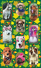 Наліпки 10х16см. ЕУ