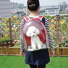 Рюкзак з ілюмінатором для транспортування кішок RESTEQ, дихаючий прозорий рюкзак для домашніх тварин, фото 2