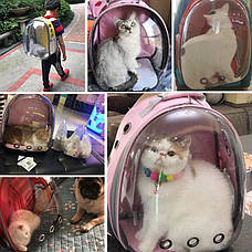 Рюкзак з ілюмінатором для транспортування кішок RESTEQ, дихаючий прозорий рюкзак для домашніх тварин, фото 3