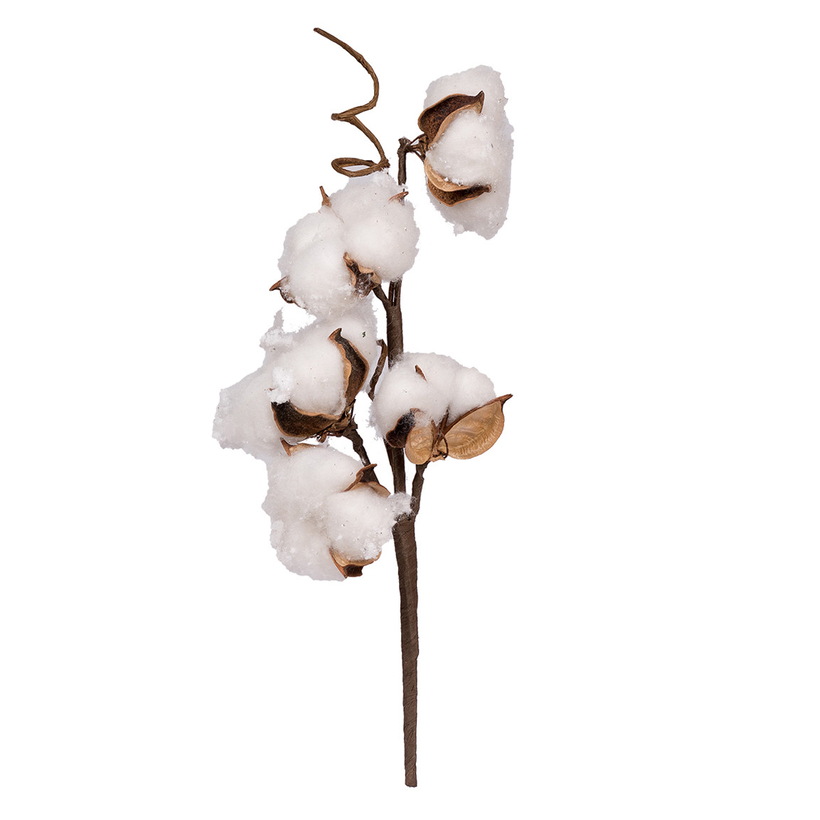 Гілка декоративна Yes Fun Бавовна 30см (973939), фото 1