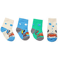 Шкарпетки дитячі для хлопчика Gabbin NSM-54 демісезонні на зріст 8-10 (в упаковці 6 штук) (90054)