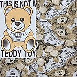 Піжама з начосом Ведмедик 03.13.34, фото 3