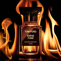 Tom Ford Ebene Fume парфумована вода 100 ml. (Том Форд Ебена Фюме), фото 2