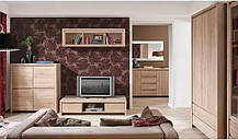 Тумба під телевізор Каспіан RTV2S/120 БРВ 550х1200х500мм, фото 5