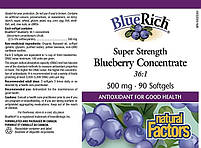 Концентрат лохини (Blueberry Concentrate BlueRich) Natural Factors, 500 мг 90 таблеток, фото 2