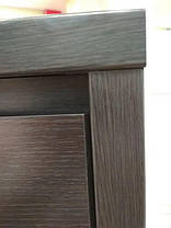 Тумба під телевізор Каспіан RTV2S/120 БРВ 550х1200х500мм, фото 3