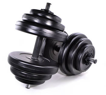 Набір гантелей по 18.5 кг х 2 шт зі змінними дисками Neo Sport з металевим грифом для дому для спортзалу