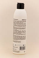 ProfiStyle Шампунь Відновлювальний для пошкодженого волосся, 250 мл, фото 2