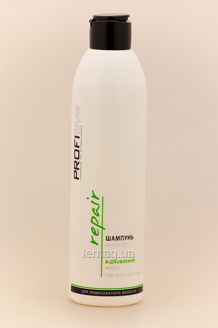 ProfiStyle Шампунь Відновлювальний для пошкодженого волосся, 250 мл, фото 1