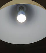 Антимоскітна світлодіодна лампочка Noveen IKN804 LED, фото 3