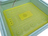 Інкубатор автоматичний Теплуша 88 Greeny ТАВ, кареточний, вологомір, фото 3