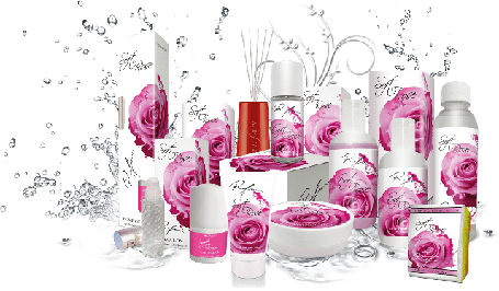 Серія "SOFT ROSE" - ніжна троянда