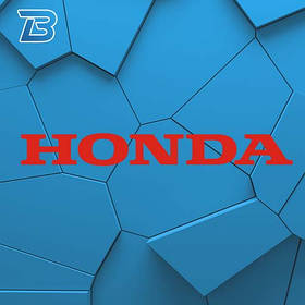 Мотокоси Honda і Hitachi