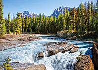 Пазл "Река Атабаска, Национальный парк, Канада" Castorland, 1500 шт (C-150762)