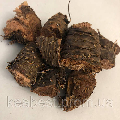 Купить Золотой корень Родиола розовая 50гр, цена 120 ₴ — Prom.ua (ID ...