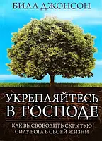 Укрепляйтесь в Господе. Билл Джонсон