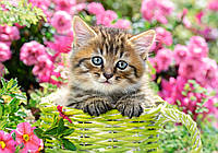 Пазл для детей "Котенок в цветочном саду" Castorland (B-52974)