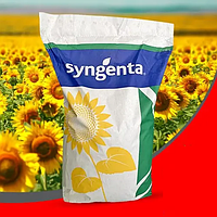 Семена подсолнечника Алькантара Syngenta посевной гибрид Сингента