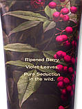 Лосьйон для тіла Pure Seduction Untamed Victoria's Secret, фото 3
