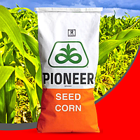 Семена кукурузы Пионер P8521 (Brevant) ФАО - 220