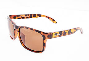 Окуляри Kalipso polarized BR1011SD-F-B