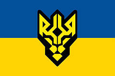 Прапор 1 Батальйона оперативного призначення ім. генераа Кульчицького НГУ синьо-жовтий