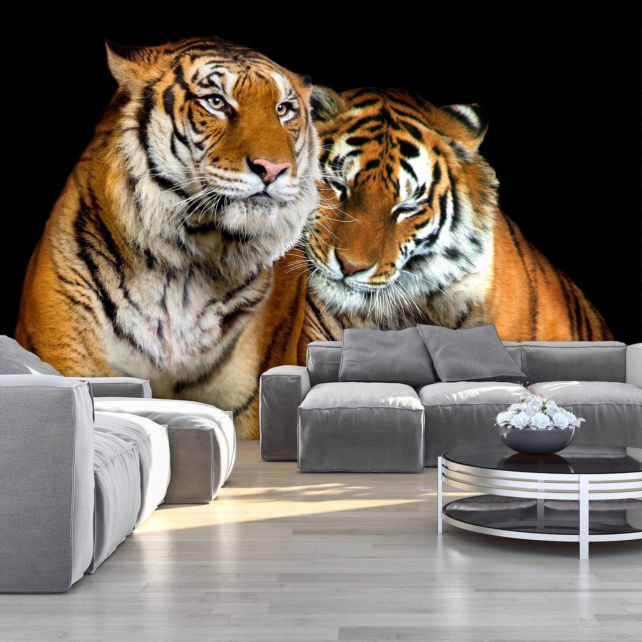 Флізелінові фотошпалери на кухні вітальні 416x254 см Два тигра Кішки Дика природа (130VEXXXL)+клей