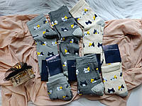 Махрові шкарпетки жіночі Серый
