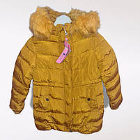 Куртки з хутром для дівчаток оптом, Nature, 2-8 років, арт. RSG-4859, фото 2