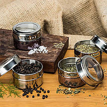 Набір для спецій на магнітній підставці ( магніті) 6 шт Magnetic Spice Rack, фото 3