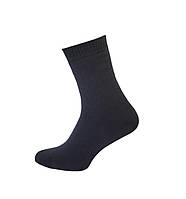 Шкарпетки махрові чоловічі зимові Twinsocks р.39-40 (25), 41-42 (27) сірі, сині