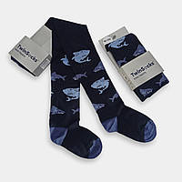 Колготки дитячі для хлопчика ТвінСокс із принтом акули 110-116/5-6 років