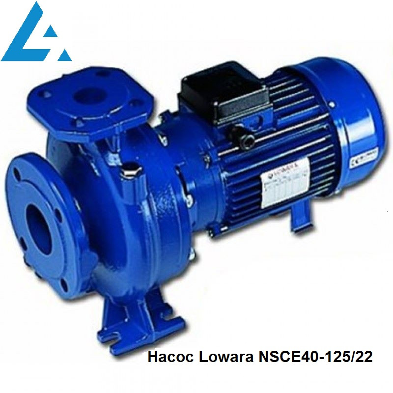 Насос NSCE40-125/22 Lowara (раніше насос FHE40-125/22). Ціна грн Україна