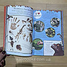 Ґруффало. Осінніми та зимовими стежками. Автор Джулія Дональдсон, фото 5