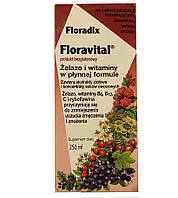 Floradix тоник железо и витамины, 250 мл FLORADIX ŻELAZO I WITAMINY 250ML