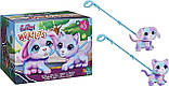 Інтерактивне цуценя та кошеня набір із двох FurReal Walkalots Big Wags Cotton and Candy 2-Pack, Hasbro, фото 3