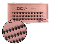 Zidia Cluster lashes 20D MESSY C 0,10 (3 стрічки, розмір 6 mm)