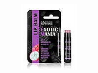 Бальзам для губ Exotic Mania 5г 05 Сік Пітайя ТМ Colour Intense "Lv"