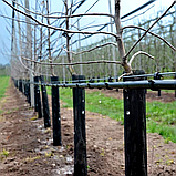 Кільце підвісне Presto-PS гачок для трубки 16 мм, в упаковці - 100 шт. (HC-0116), фото 2