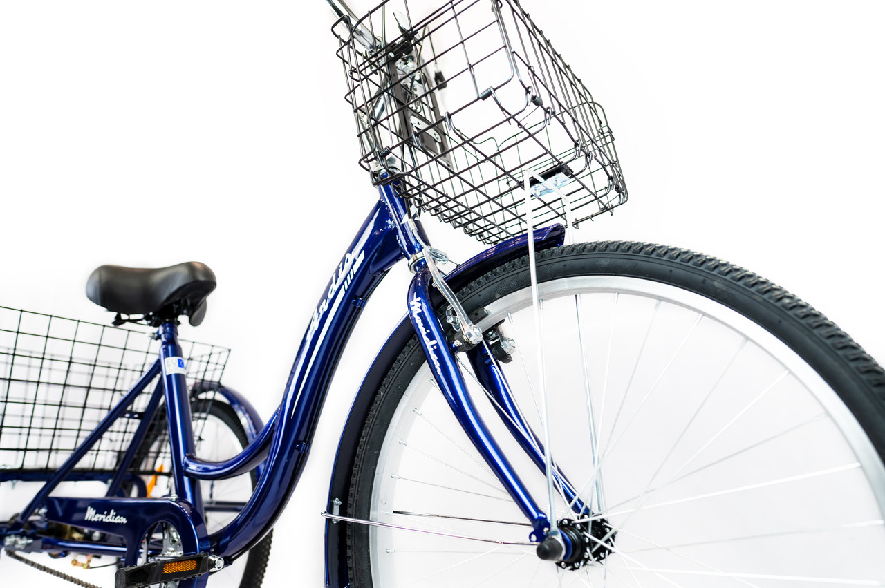 Трехколесный велосипед грузовой Ardis Meridian Синий УЦІНКА (ПОДРЯПИНИ, СКОЛИ НА РАМІ) - фото 5 - id-p1690656788