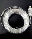 Гірлянда РОСА в трубці нитка 100LED, 220 В, 10 метрів, Мультик колір, фото 3