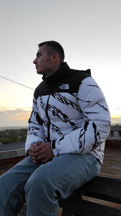 Чоловіча зимова пховик The North Face 700 White, фото 2