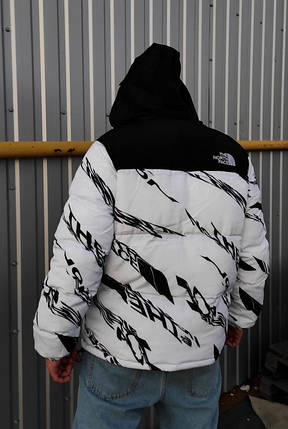 Чоловіча зимова пховик The North Face 700 White, фото 2
