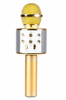 Мікрофон на акум. 23см,Bluetooth,TFслот,USBзар,3 кольор.,в кор-ці,9,5х25х8,5см №WS858(20)