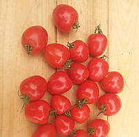 Томат Черри Tomatoberry, Томатная ягодка. Среднеспелый, высокорослый.