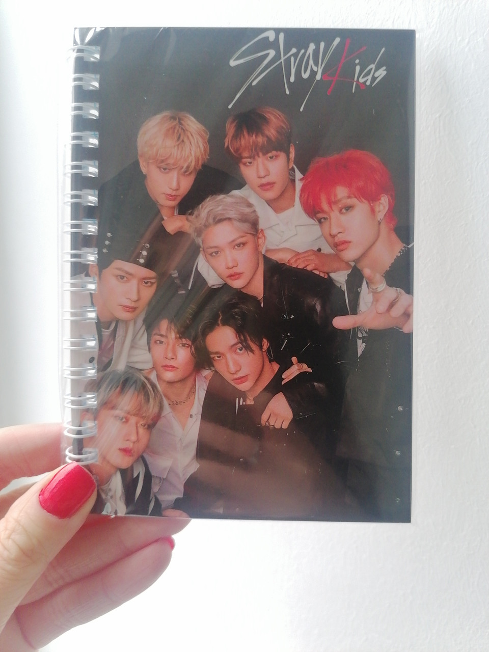 Купить Блокнот Stray Kids на пружине 48 листов клетка, цена 40 грн ...