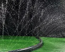 Спрей полив