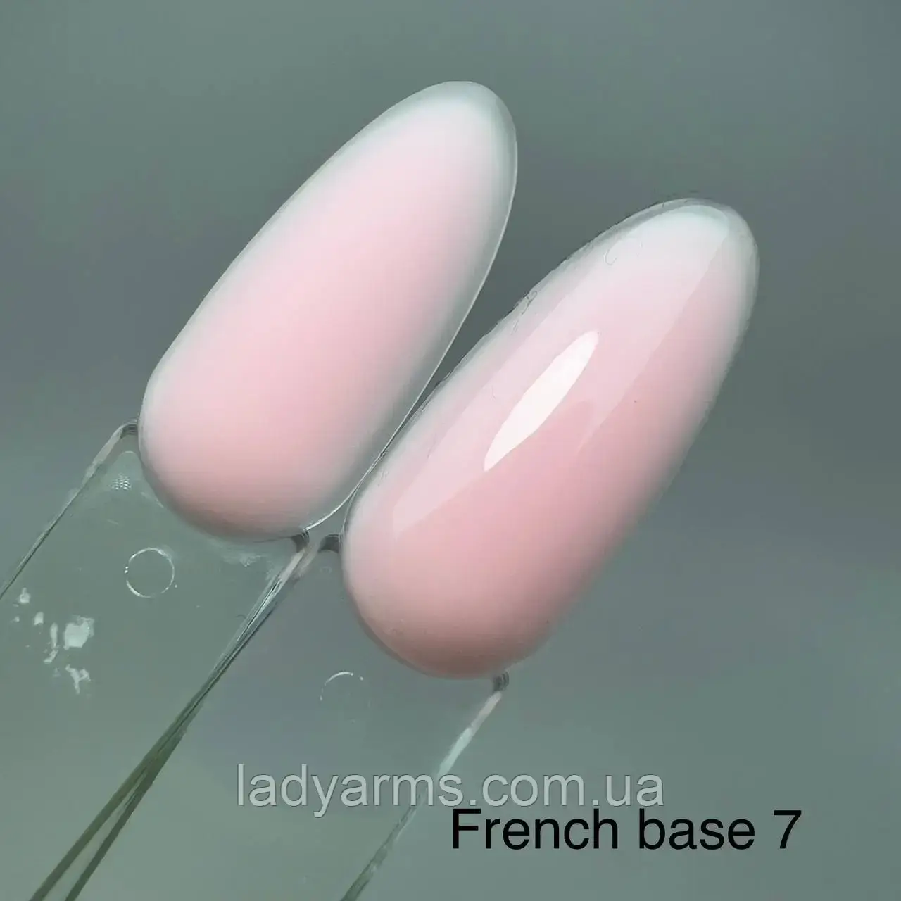 Silver Base 007 30гр. french
